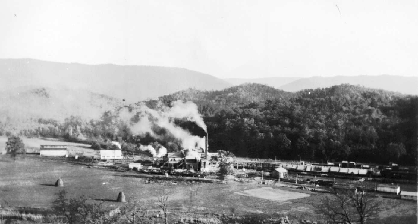 Bacova, Virginia, 1925