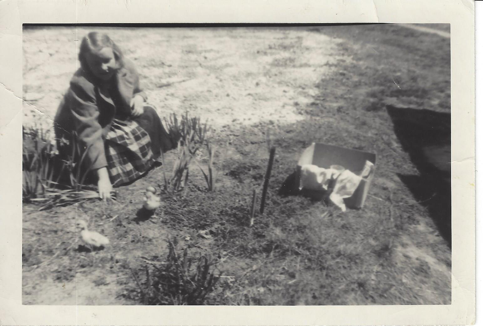 Young Neva with baby chicks