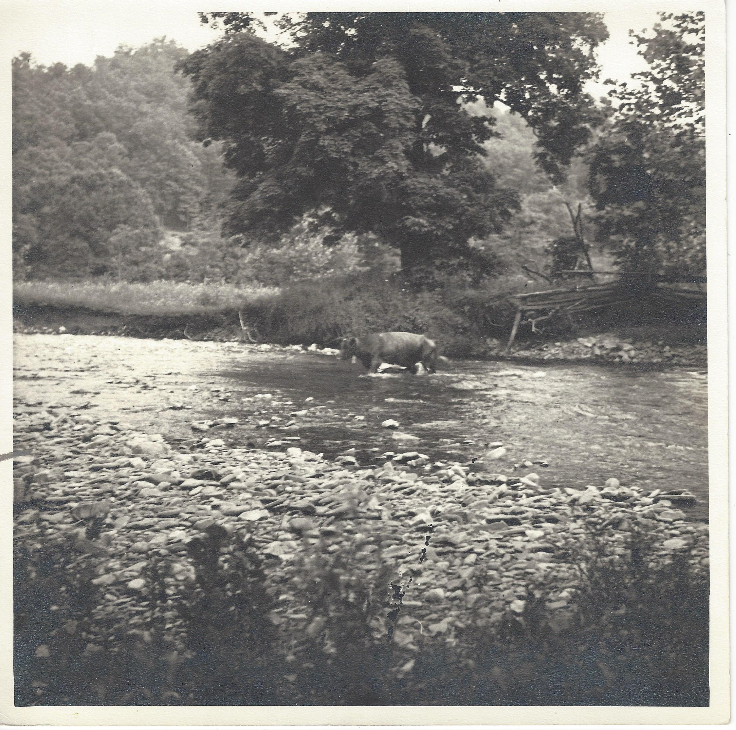 Sunrise high-resolution scan 5